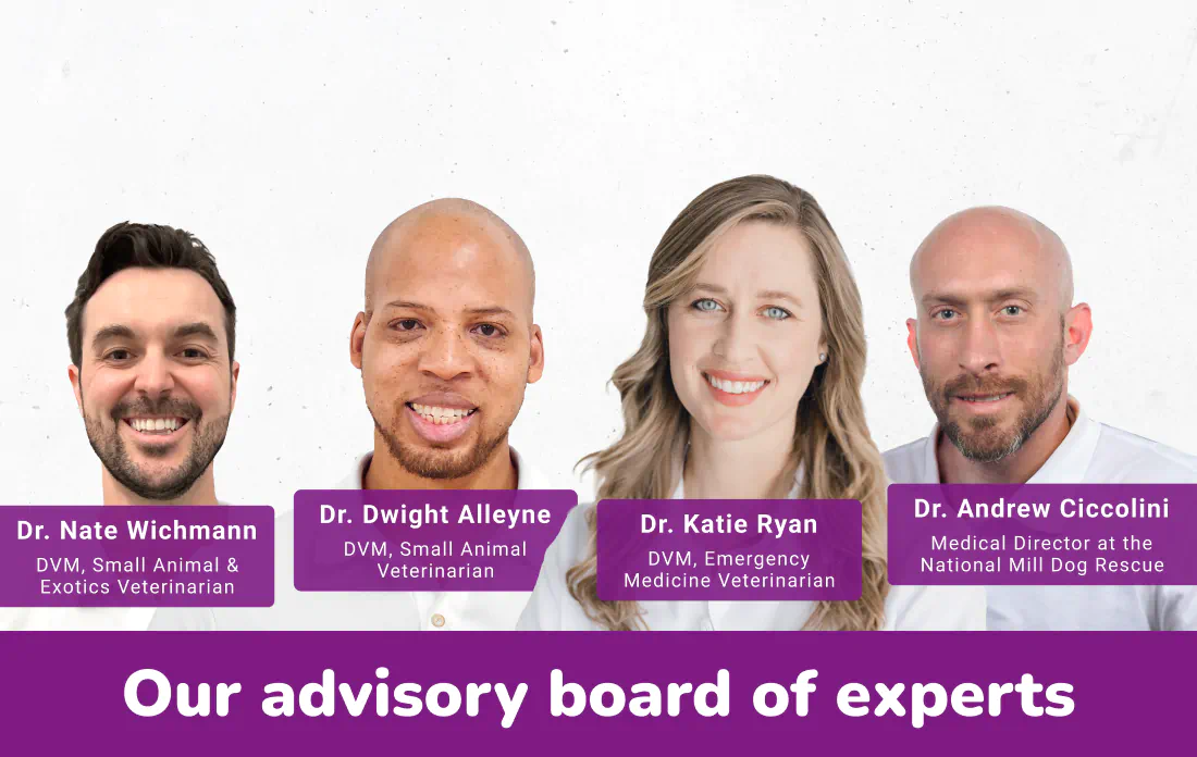 Our Experts
