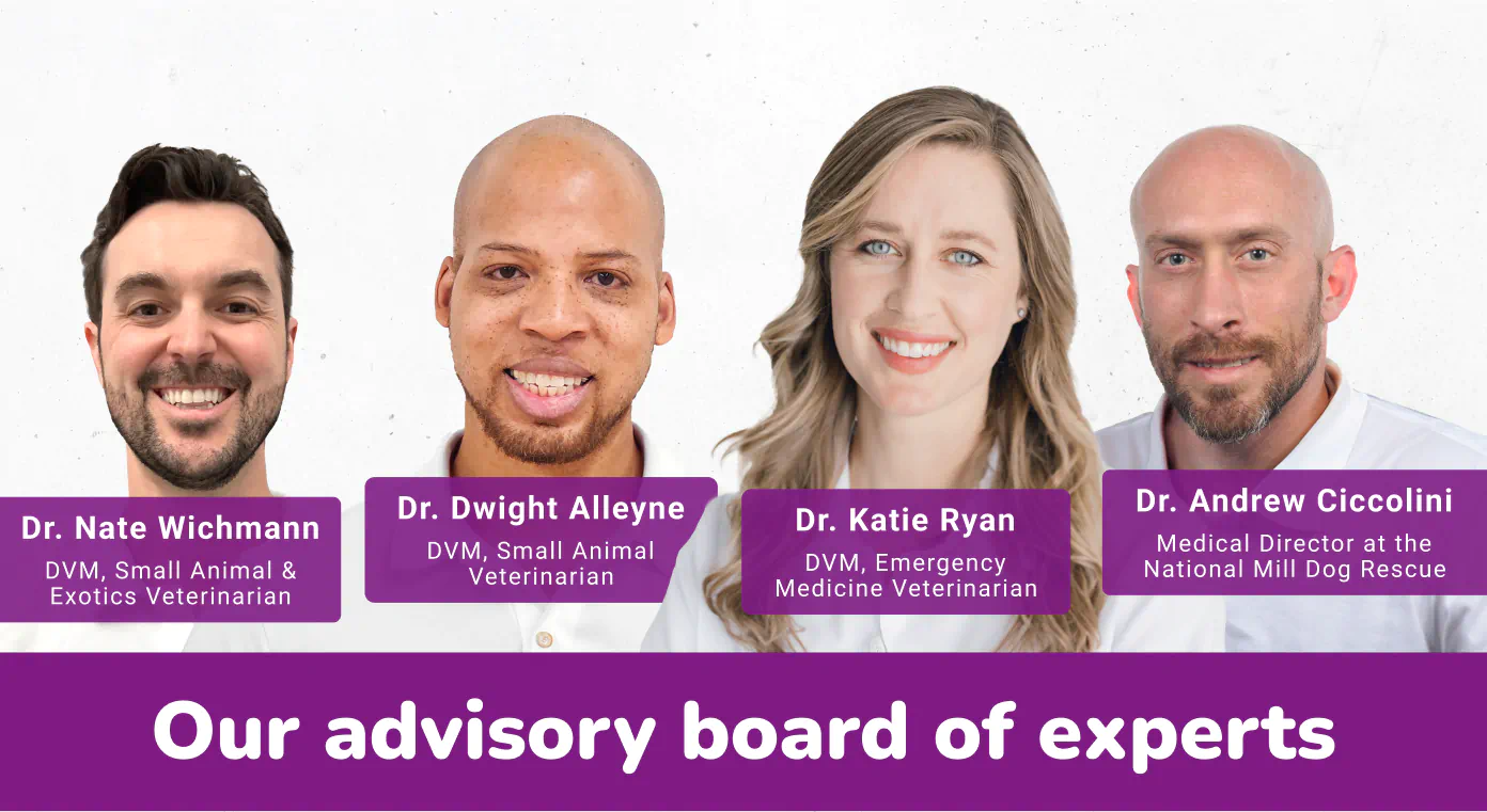 Our Experts